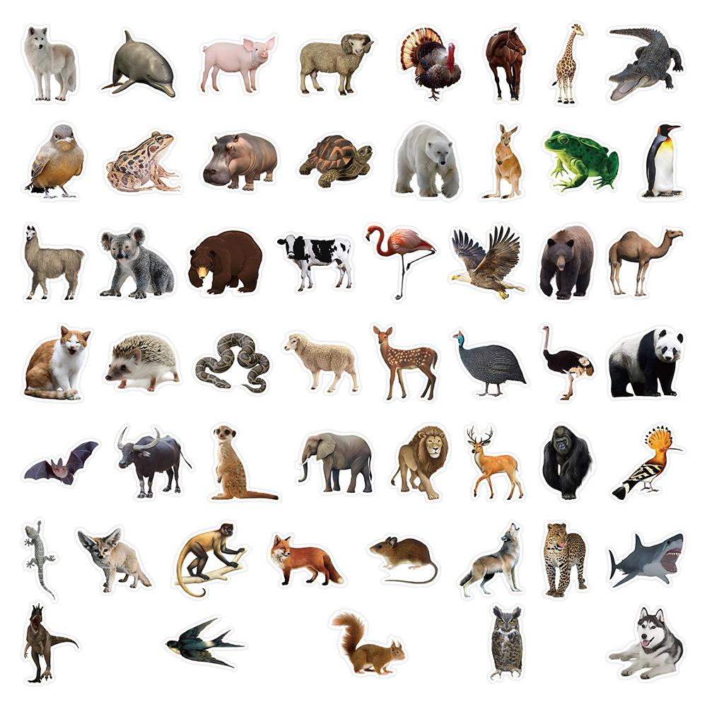 50x Animals stickers pack